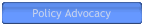 Policy Advocacy - Influencing foreign policy and regulatory decisions
